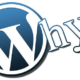 Reasons To Choose WordPress Website | WordPress Website Developer | SysTab