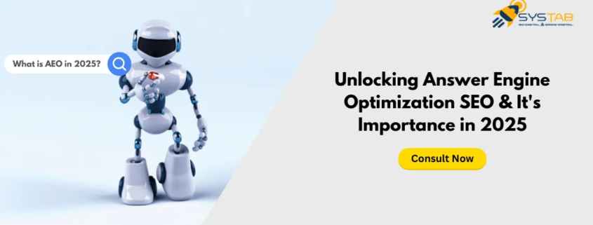 Unlocking Answer Engine Optimization SEO & It's Importance in 2025 | SysTab India